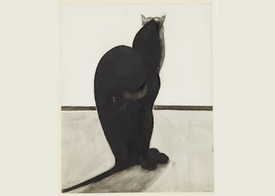 Léon Spilliaert, 'Kat van de rug gezien, staand en gedraaid naar de horizon', 1901-1902, pen, potlood en Oost-Indische inkt op papier © KBR 